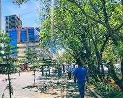 City Center Revitalization
